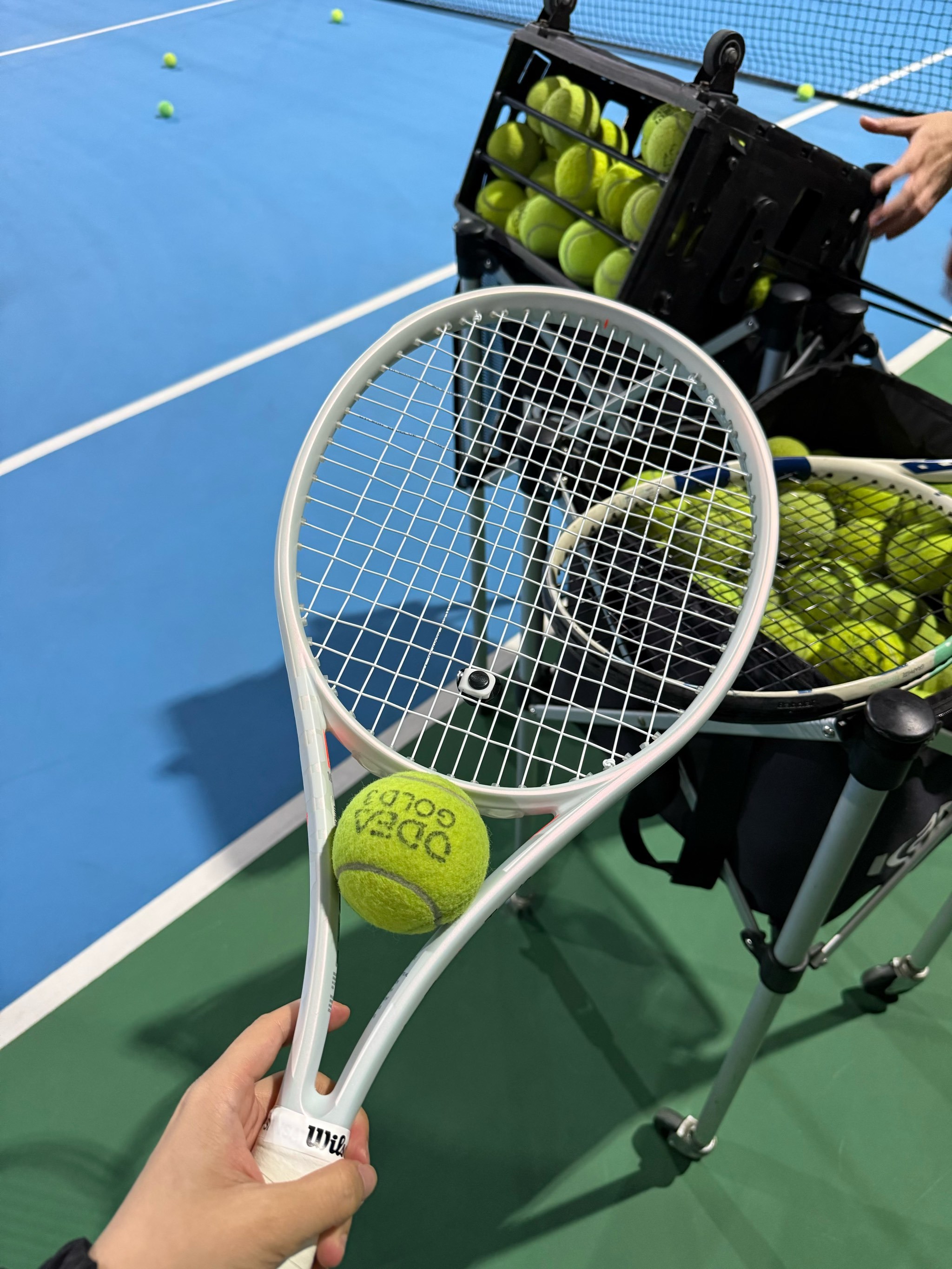 前嗅觉和不 前嗅觉和不