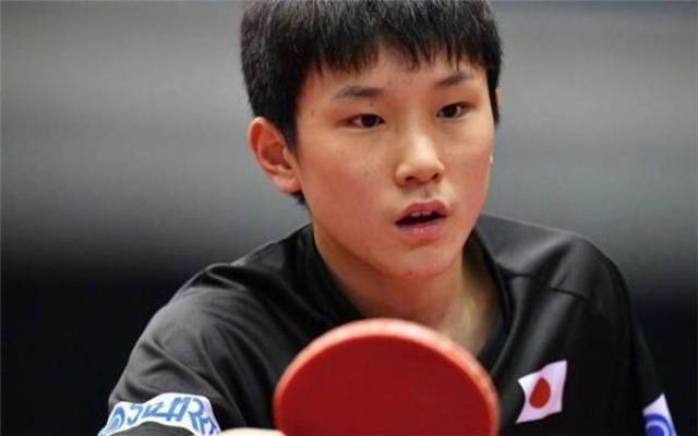 案例分析 案例分析